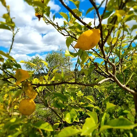 Campismo de Luxo Eco Alfarrobas Com Piscina *
