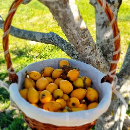 Eco Alfarrobas Com Piscina *