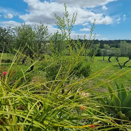 Eco Alfarrobas Com Piscina * Algoz