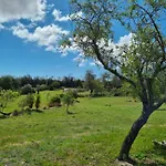 Eco Alfarrobas Com Piscina