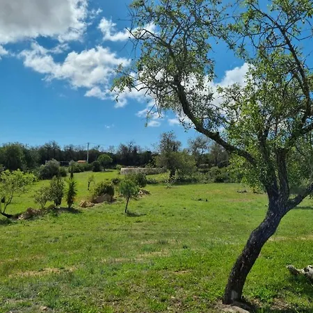 Eco Alfarrobas Com Piscina