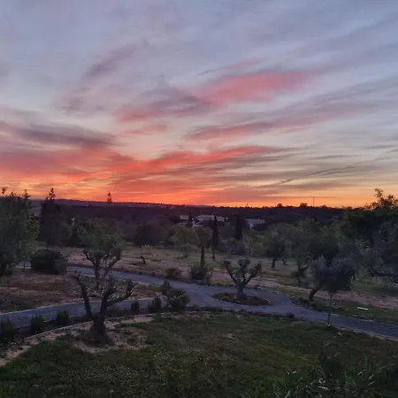 Eco Alfarrobas Com Piscina アルゴス